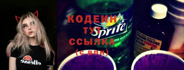 твердый Иннополис