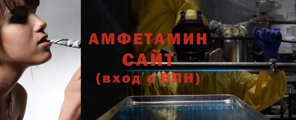 твердый Иннополис