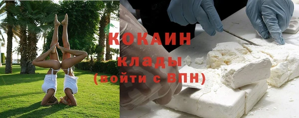 твердый Иннополис