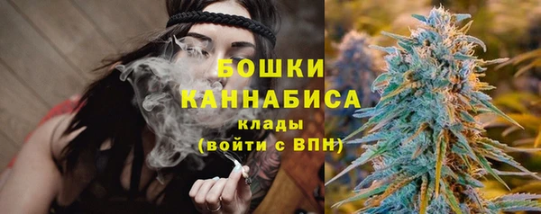 твердый Иннополис
